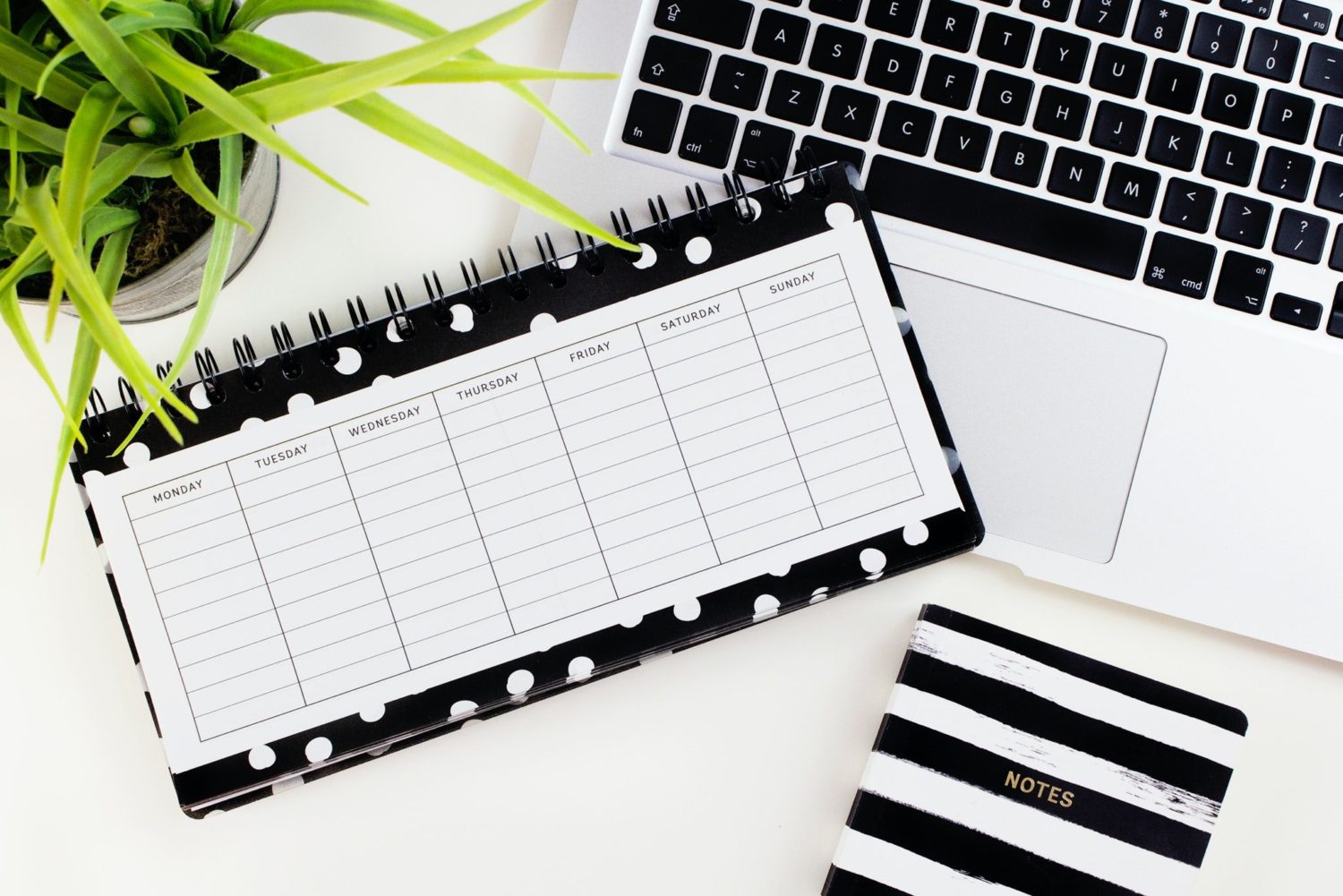 match your content to the day of the week